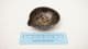 casting tray  with  roman Trier style tongs