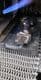 Drimark Ltd  industrial mesh belt furnace brazing  and annealing sheffield