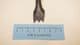 Roman masons socketed scutch chisel from Alise in Gaul