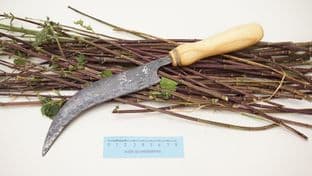 roman to medieval 6" curved sickle or serpette with beechwood handle