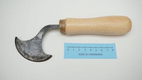 Roman to medieval lunette leather cutter 45 degrees with beech wood handle