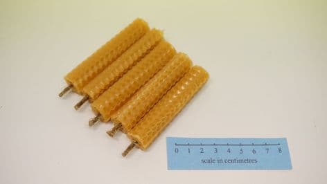 set of 5 beeswax honeycomb candles with jute wick