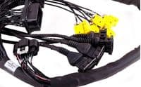 MaxxECU Mustang GT V8 Coyote 2011-2014