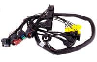 MaxxECU Mustang GT V8 Coyote 2011-2014