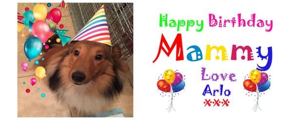 Happy Birthday & Photo Mug