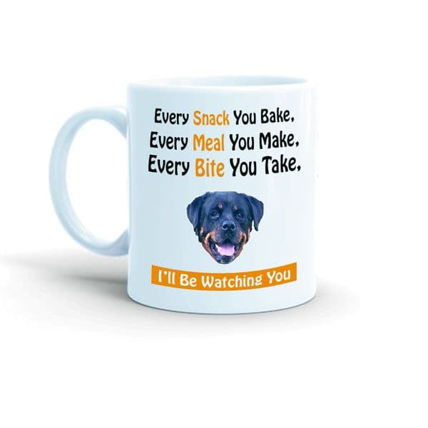 Pet Watching You Photo Mug & Coaster