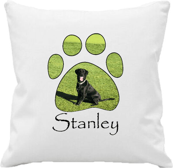Shape Frame Photo Cushion