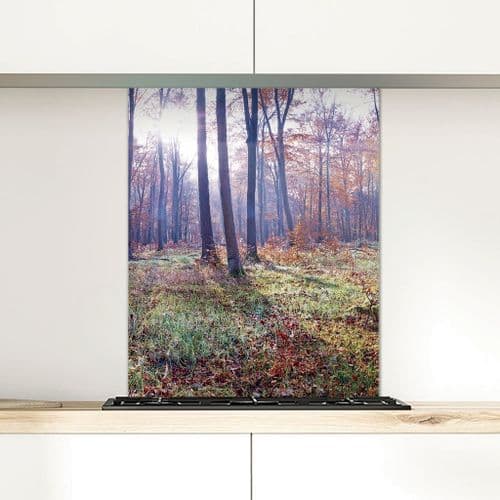 Autumn, Thetford Forest