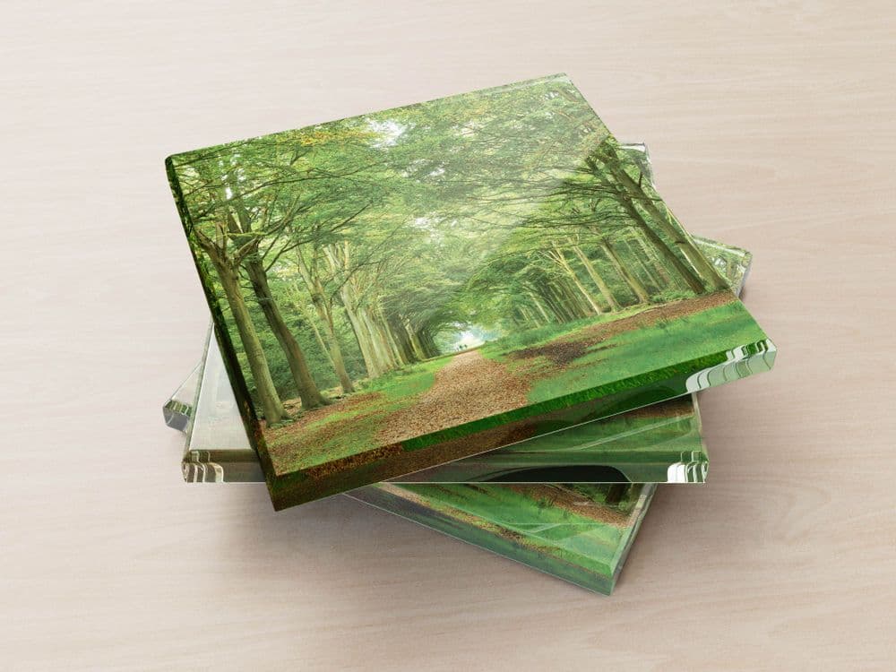 Beech Avenue - Glass Coasters