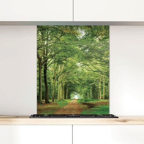 Beech Avenue - Glass Splashback