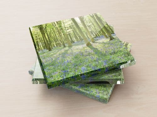 Bluebell Forest - Glass Coasters