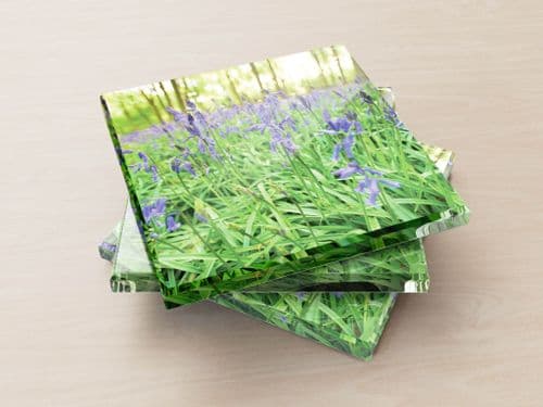 Bluebells - Glass Coasters