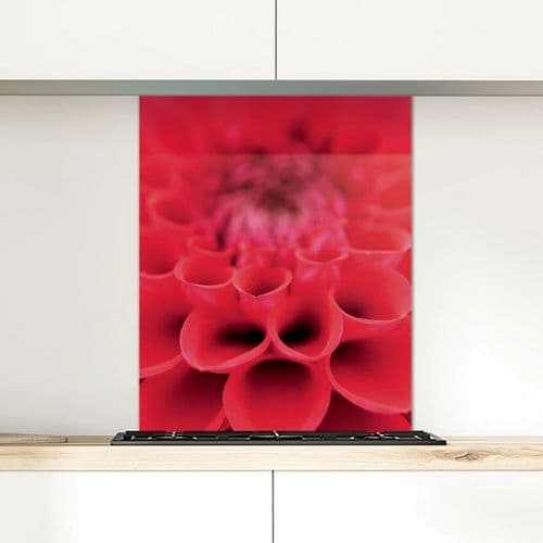 Dahlia - Glass Splashback