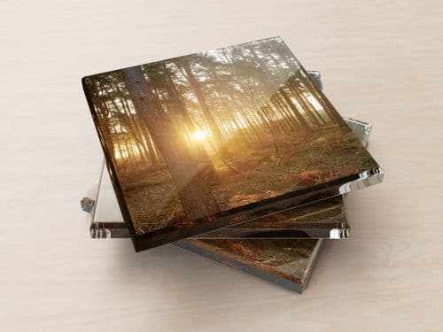 Dawn, Pine Woods - Glass Coasters