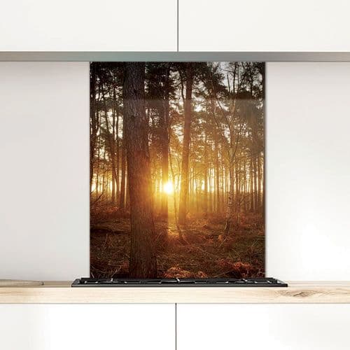 Dawn, Pine Woods - Glass Splashback