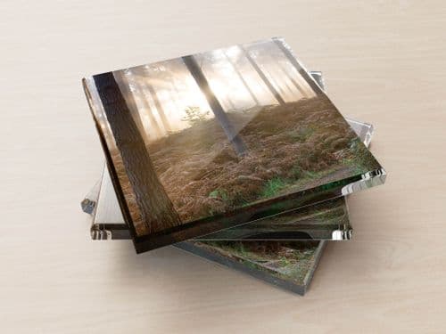 Forest Dawn - Glass Coasters
