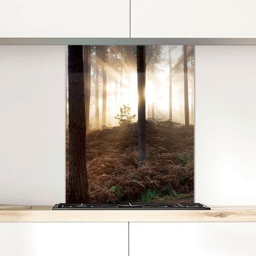 Forest Dawn - Glass Splashback