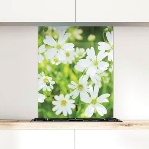 Greater Stitchwort - Glass Splashback