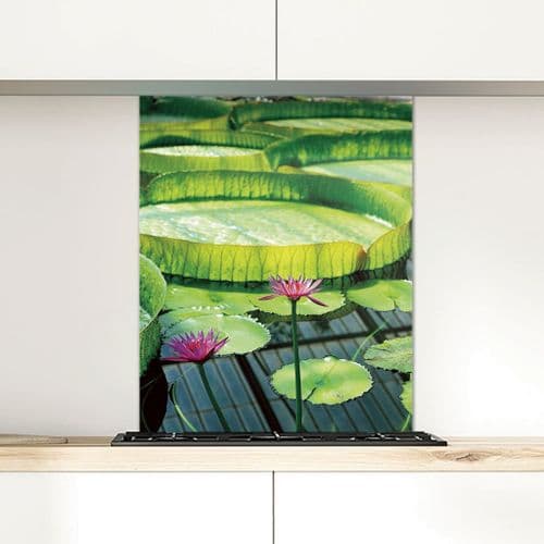 Lotus and Giant Lily Pad - Glass Splashback