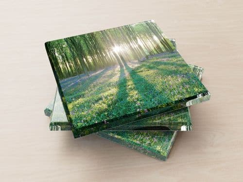 Micheldever Wood, Hampshire - Glass Coasters