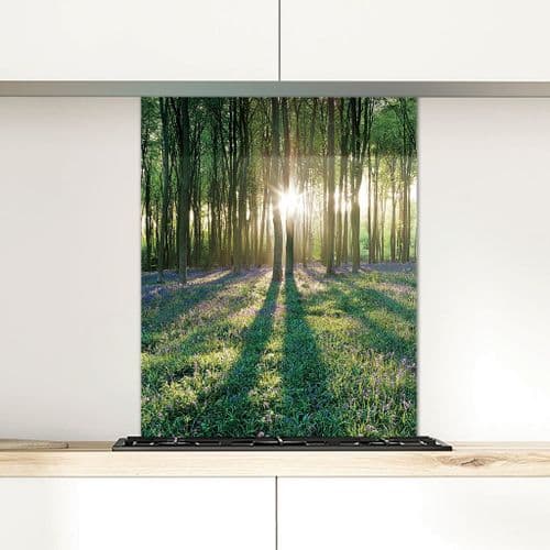 Micheldever Wood, Hampshire - Glass Splashback