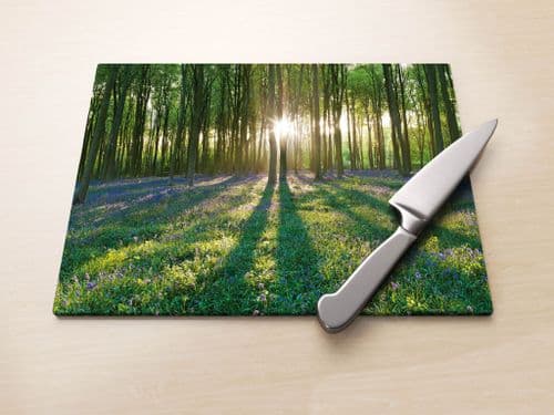 Micheldever Wood, Hampshire - Glass Worktop Saver