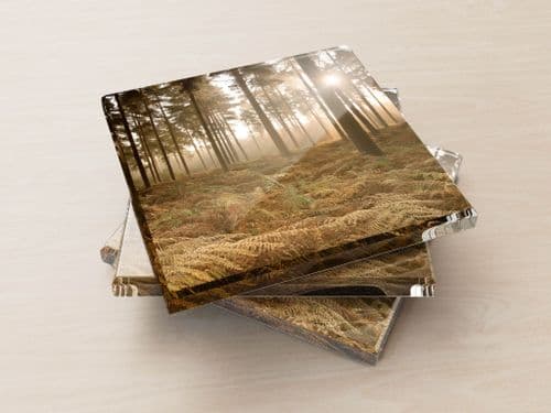 Misty Autumn Forest - Glass Coasters