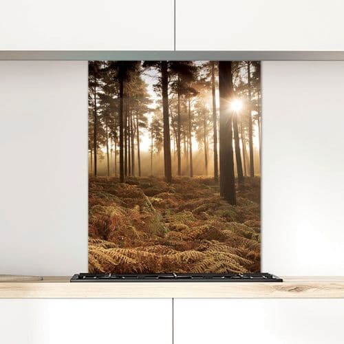 Misty Autumn Forest - Glass Splashback