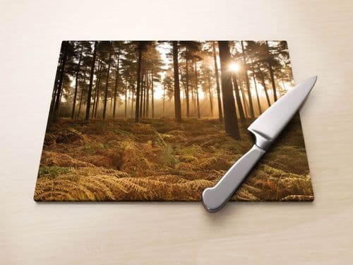 Misty Autumn Forest - Glass Worktop Saver
