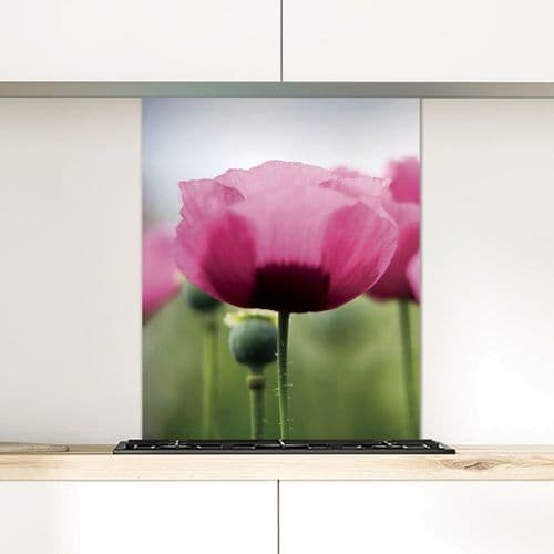 Opium Poppies - Glass Splashback