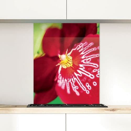 Orchid - Glass Splashback