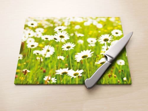 Ox Eye Daisies I - Glass Worktop Saver