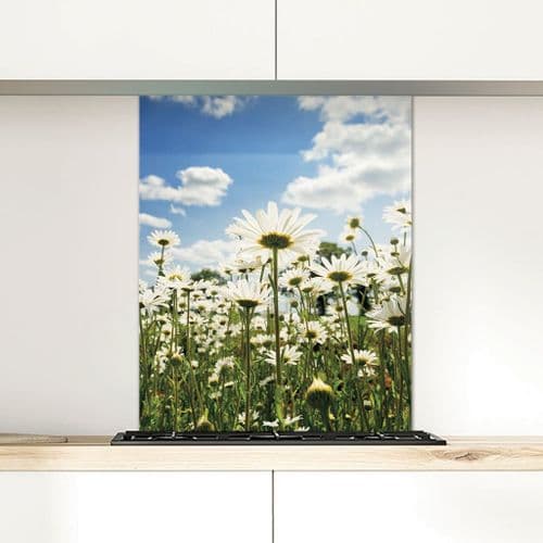 Ox Eye Daisies II - Glass Splashback