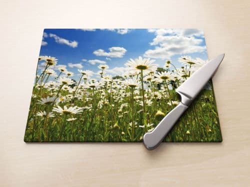 Ox Eye Daisies II - Glass Worktop Saver