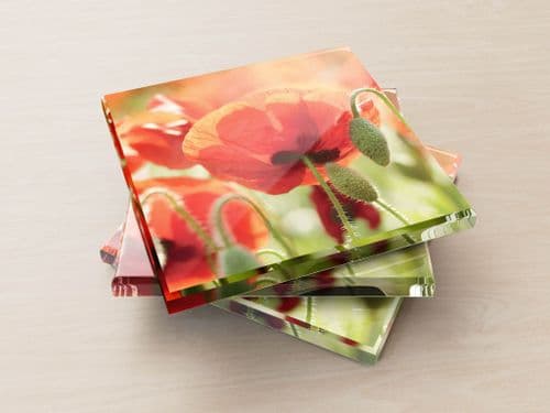Poppies, Norfolk - Glass Coasters