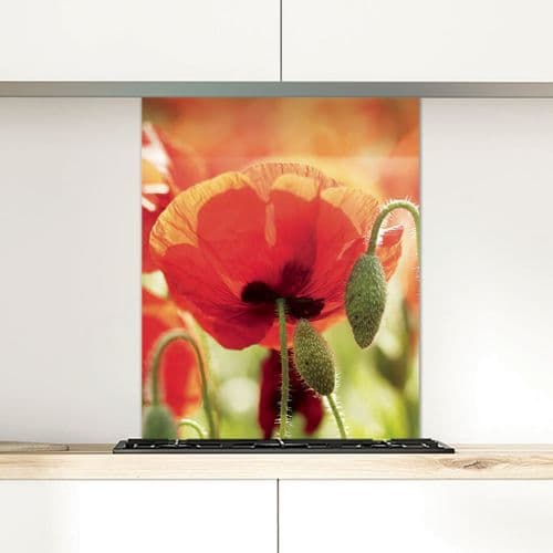 Poppies, Norfolk - Glass Splashback