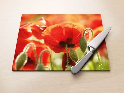 Poppies, Norfolk - Glass Worktop Saver