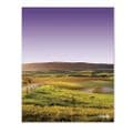 Rolling Hills Purple - Glass Splashback