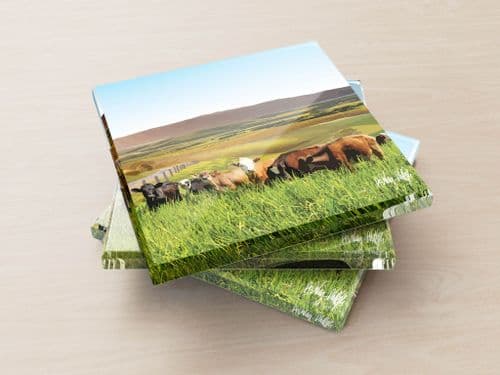 Rolling Hills With Cows Blue - Glass Coasters