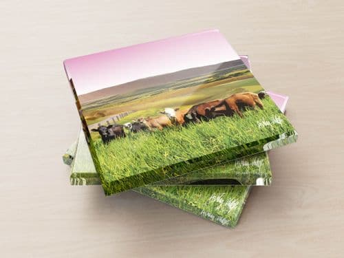 Rolling Hills With Cows Pink - Glass Coasters