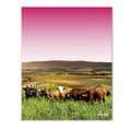 Rolling Hills With Cows Pink - Glass Splashback