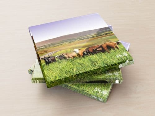Rolling Hills With Cows Purple - Glass Coasters