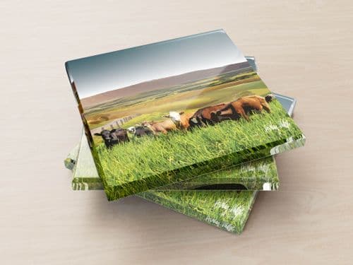 Rolling Hills With Cows Ultra Marine - Glass Coasters