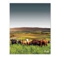 Rolling Hills With Cows Ultra Marine - Glass Splashback