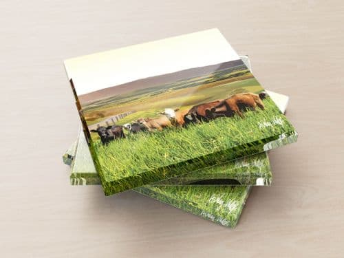 Rolling Hills With Cows Yellow - Glass Coasters