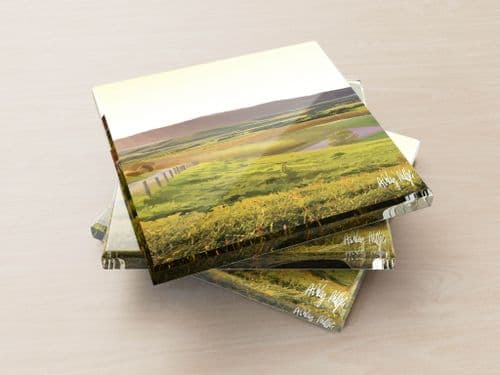 Rolling Hills Yellow - Glass Coasters
