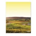 Rolling Hills Yellow - Glass Splashback