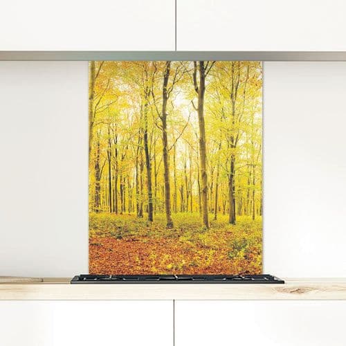 Savenake Forest - Glass Splashback