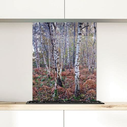 Silver Birches - Glass Splashback