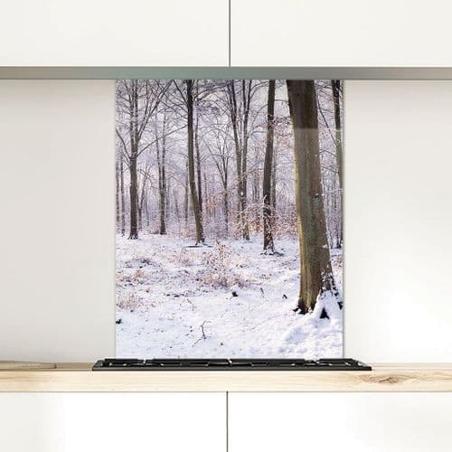 Snow, Thetford Forest